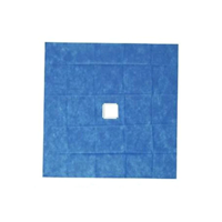 CAMPO (PANO) ESTERIL 80X80 C/FENESTRACION 10X10CM X 1 — Genérico (ECT97439)