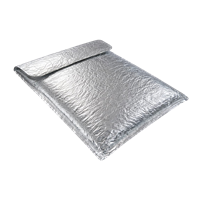 SOBRE TERMICO ALUMINIZADO 22 X 29 CM (3MM) X 1 UN — P&P PACKAGING (ECT51092)